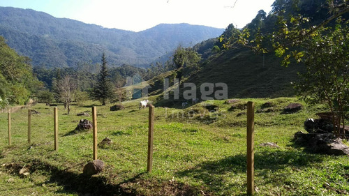 Imagem 5 de 9 de Chácara À Venda No Bairro Testo Alto - Pomerode/sc - 2261c