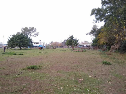 Imagen 7 de 13 de Quinta En Virrey Del Pino Barrio Oro Verde