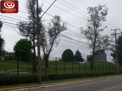 Imagem 3 de 8 de Área Para Venda - 00036.006