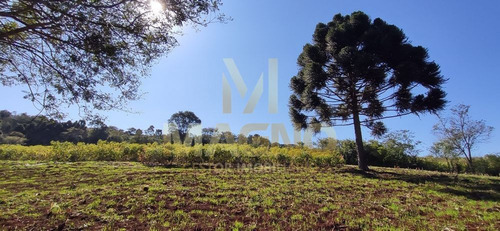 Imagem 18 de 30 de Venda Sítio/fazenda No Bairro São Salvador - R142925
