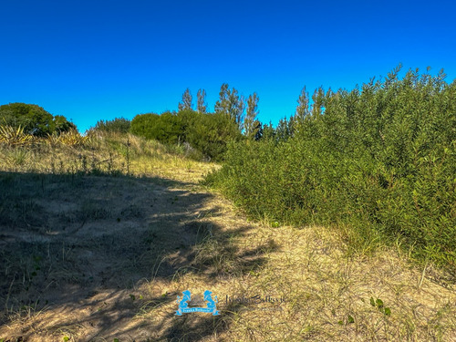 Lote Ideal Para Proyecto Familiar O Inversión