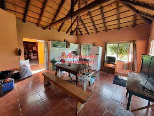 Imagen 3 de 30 de Venta De Chacra 3 De Hectáreas