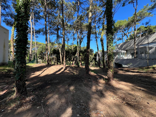 Lote Residencial Con Salida Al Golf En Carilo