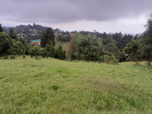 Venta De Lote En Guarne Vereda San Isidro