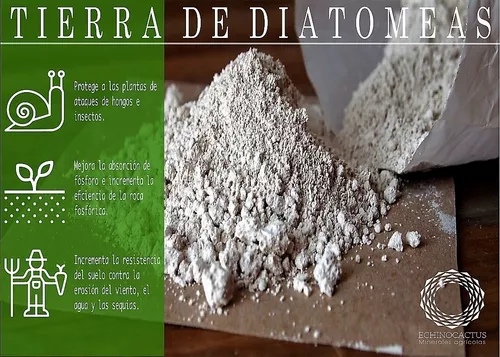 Usos de la tierra de diatomeas y donde comprar - Ecodiatomea