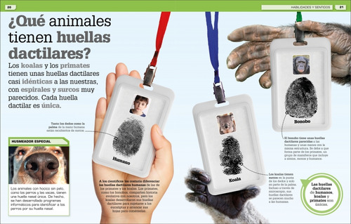 Ãâ¡increãâble Pero Cierto! Animales, De Varios Autores,. Editorial Dk, Tapa Dura En Español