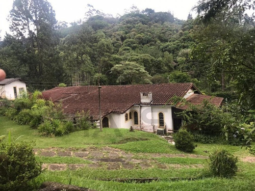 Imagem 7 de 16 de Excelente Sitio Em Itapecerica Da Serra, Área Comercial E Com Plantio De Eucalipto. - 122 - 69234465