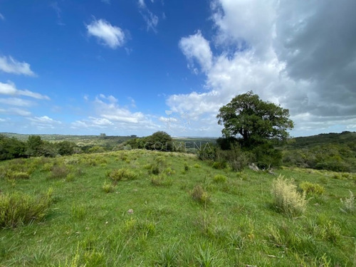 Imagen 4 de 30 de 7 Chacras De 5 Has Cada Una A 20 Km De Aigua Por Ruta 39 - Consulte !!!!!