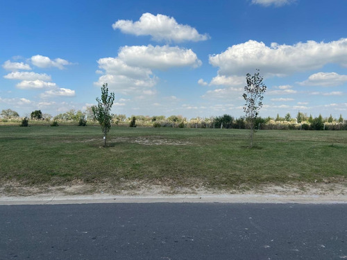Imagen 7 de 8 de Lote Con Vista Al Agua En Venta - El Naudir