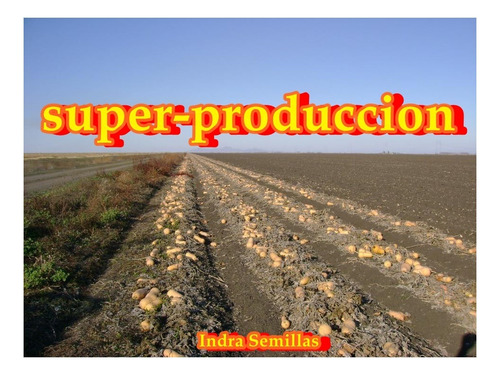 Semillas Zapallo Calabacita Tipo Anco Waltham Butternut (22)