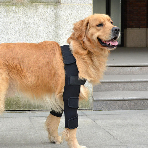 Perro Rodillera Muñequera Vendas Mascota Codo Rodillera S
