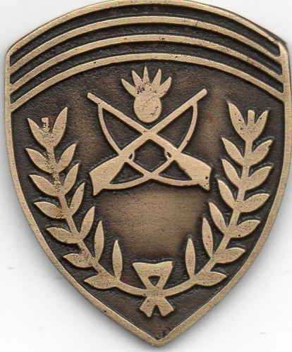 Escudo Boina Infanteria Cordoba