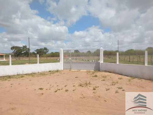 Imagem 15 de 30 de Granja A Venda Em Macaíba