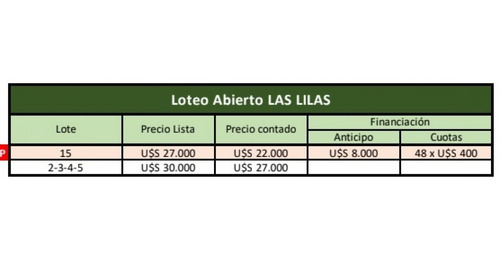 Imagen 2 de 2 de Lote De Terreno Sobre Avenida