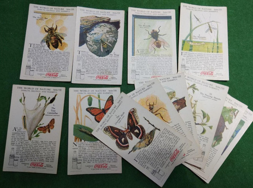 12 Cartas De Colección Coca Cola 1930s  Study Cards  Insects