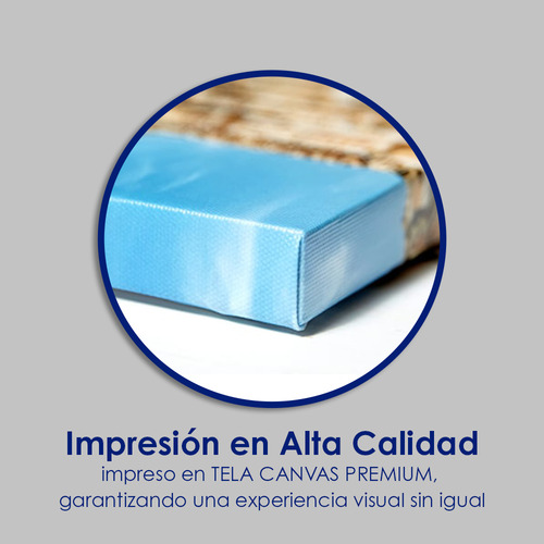 Canvas Cuadro Decorativo Moderno Sala Recamara | 90x140 B32