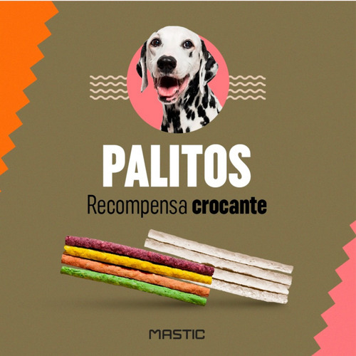 Kit 4 Pct Palito Ossinho Cães Sabor Natural Mastig C/ 10 Un