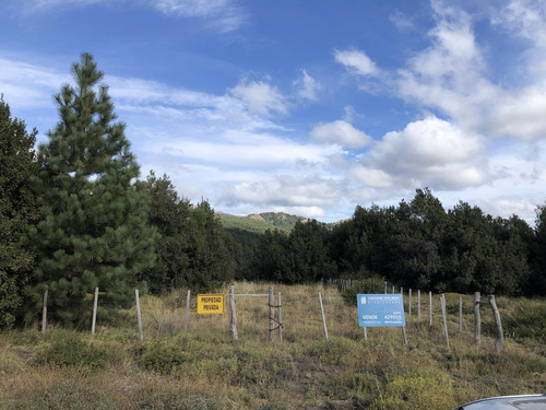 Imagen 3 de 5 de Venta Lote 1000 M2 Mza T2 Alambrado Y Forestado - Lago Meliquina