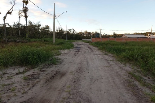 Imagem 9 de 14 de Terreno - 1547t - 69232909
