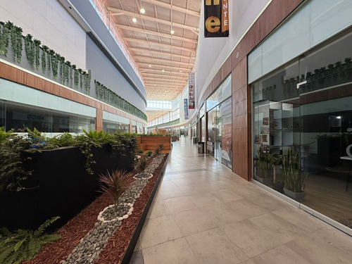 Local Comercial En Renta En Bosque Esmeralda