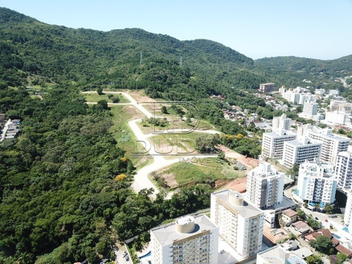 Imagem 1 de 7 de Terreno - Itacorubi - Ref: 26241 - V-26241