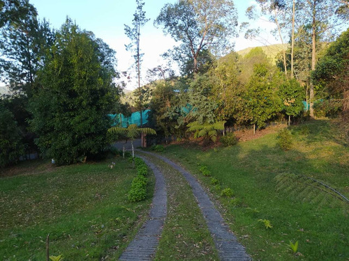 Imagen 13 de 16 de Finca En Venta En El Sector La Catedral En Envigado