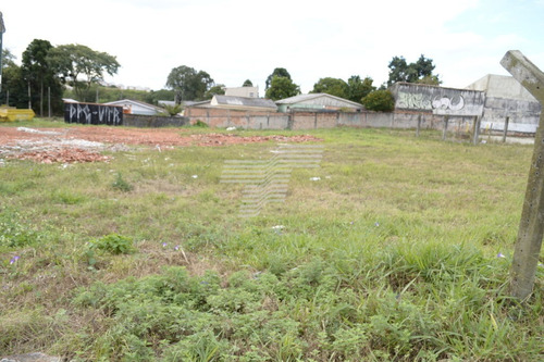 Imagem 10 de 15 de Terreno Com 4917m² No Capão Raso, Próximo Ao Terminal. - Re61432378