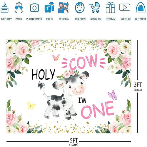 Ticuenicoa 5x3ft Holy Cow Im One 1st Birthday Backdrop For G