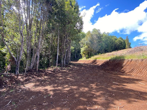 Z O N A S U R. C L Parcelas Orilla Y Acceso Lago Huilipilun