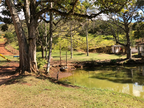 Imagem 7 de 14 de E08- Oportunidade Unica Lotes De 2500m² Por Apenas 45,000