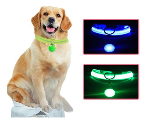 Collar Y Colgante Para Perro Gato Mascota Con Luz Led