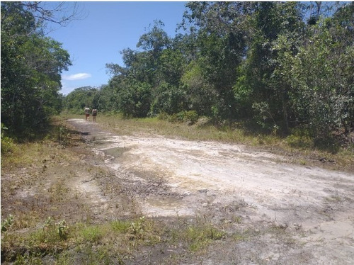 Vendo Lotes Medindo 125m² Em Itanhaém Litoral Sul De Sp