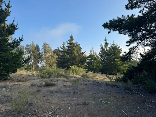 Terreno En Algarrobo Norte, Excelente Ubicación, 5.000 M2.