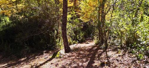Se Venden Lotes Desde 5000mts2,yungay (68483)