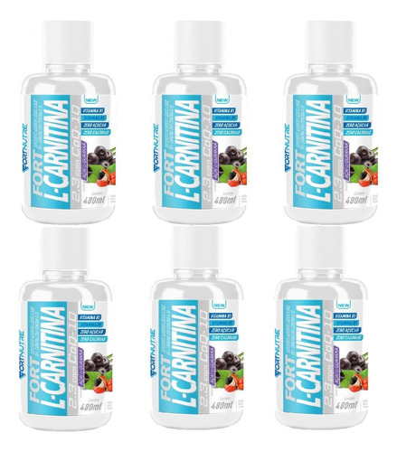 6x L-carnitina 2300mg Queimador - Thermo - Fortnutre Sabor Açaí Com Guaraná