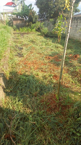 Imagem 2 de 7 de Terreno 250m² - Parque Residencial Bambi - 125
