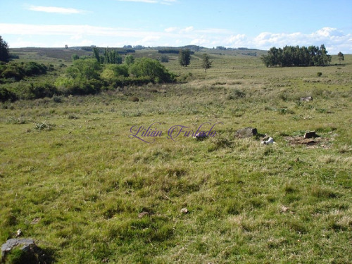 Imagen 5 de 18 de Campo 98 Has Con 2891 M2 En Carape Cuenta Con Costa De Arroyo.