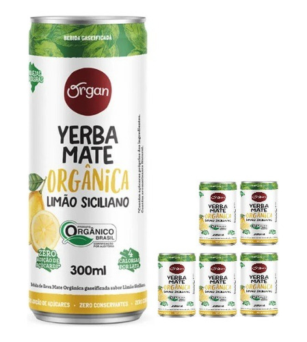 Bebida Gaseificada Yerba Mate Limão Organ 300ml C/6 Unid