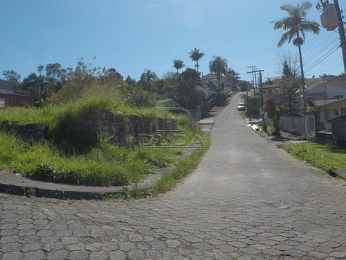 Imagem 4 de 6 de Terreno - Operaria Nova - Ref: 22785 - V-22785
