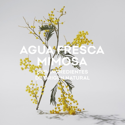 Imagen 3 de 4 de Perfume Adolfo Dominguez Mimosa Coriandro Etd Mujer 120 Ml