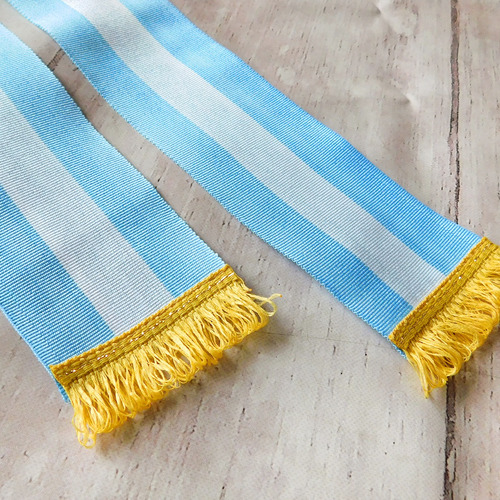 Banda Argentina Promesa Jura A La Bandera Económica