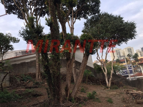 Imagem 4 de 12 de Terreno Em Vila Maria - São Paulo, Sp - 343526