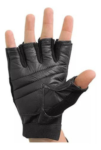 Guantes De Entrenamiento Everlast Authority Iii Weight Glove