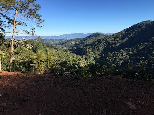 Imagem 4 de 11 de Terreno De 1767m² A Venda Em Condominio Em Santo Antônio Do Pinhal, Na Serra Da Mantiqueira, Vista Livre, Contato Com A Natureza - Te0436