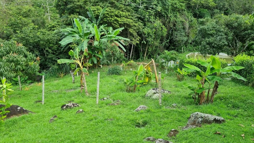 Imagen 21 de 25 de Finca En Venta En San Jeronimo Con La Mejor Vista