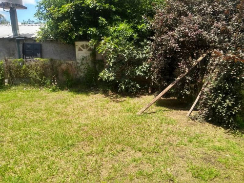 Tres Locales En Venta, Virrey Del Pino.