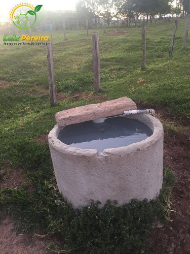 Imagem 13 de 15 de Fazenda À Venda Em Corguinho - Ms - 1.063 Hectares (dupla Aptidão) - 1941