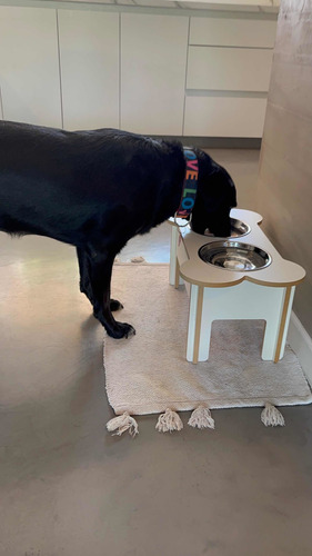 Imagen 5 de 10 de Comedero En Altura Para Perros De Madera Forma Huesito 30cm