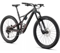 Comprar 2020 Stumpjumper Evo Comp Carbon 29