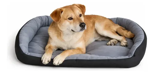 Kit de Accesorios Esenciales para Nueva Mascota